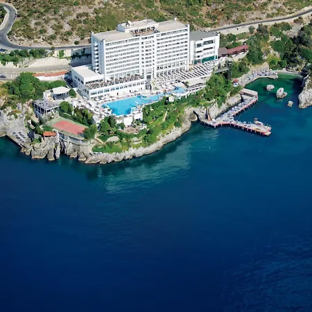 コリマー デラックス